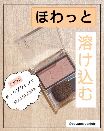 チークブラッシュ/CEZANNE/パウダーチークを使ったクチコミ(1枚目)