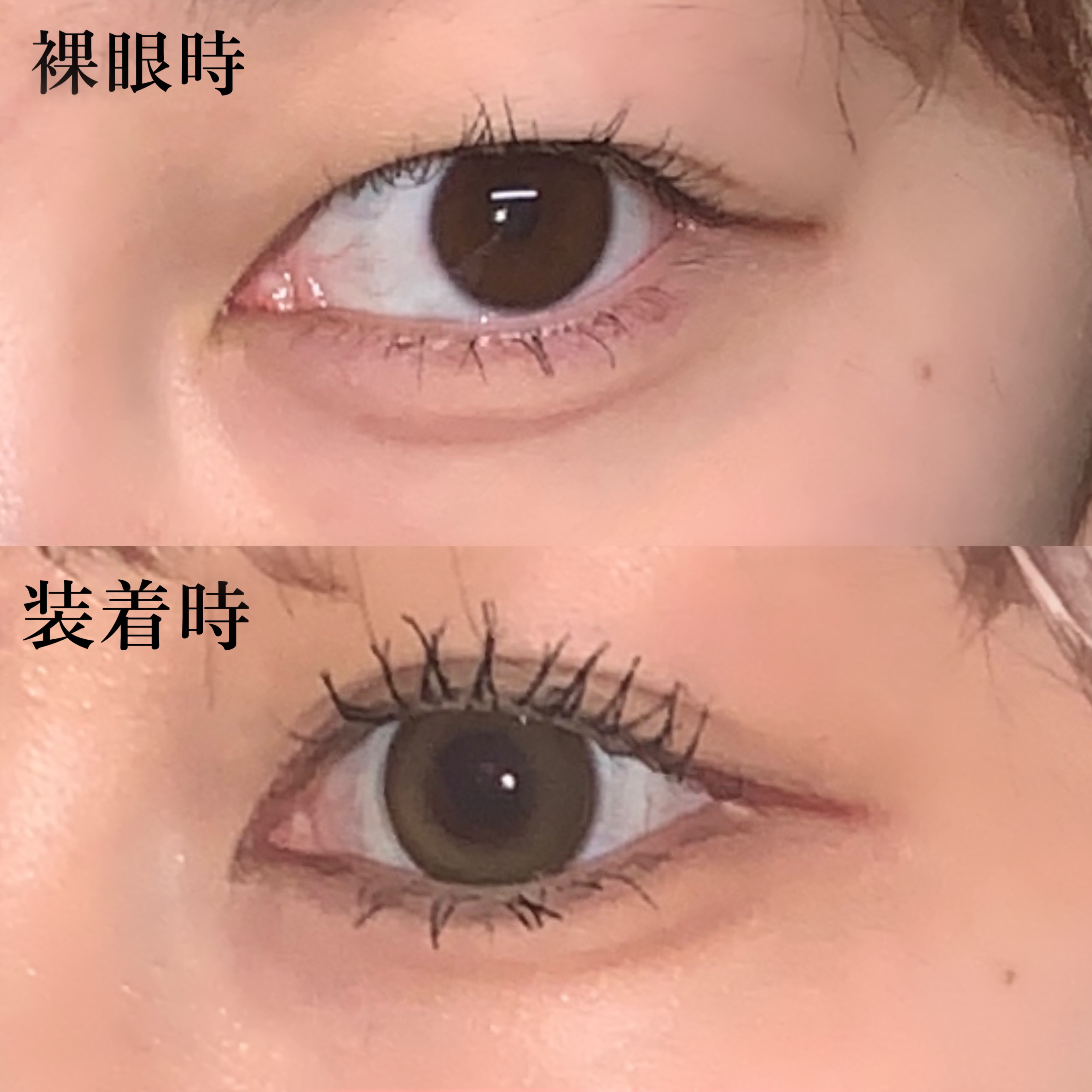 Angelcolor Bambi Series 1day  レモンヘーゼル/AngelColor/ワンデー（１DAY）カラコンを使ったクチコミ（2枚目）