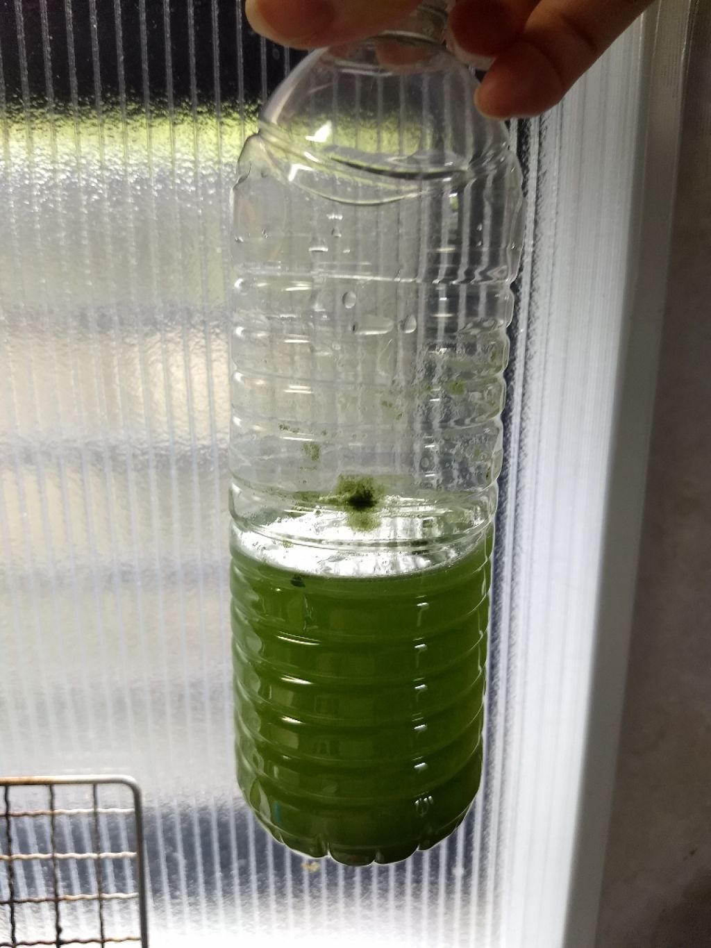 九州産有機栽培 大麦若葉使用 フルーツ青汁/NAGAI/青汁を使ったクチコミ(3枚目)