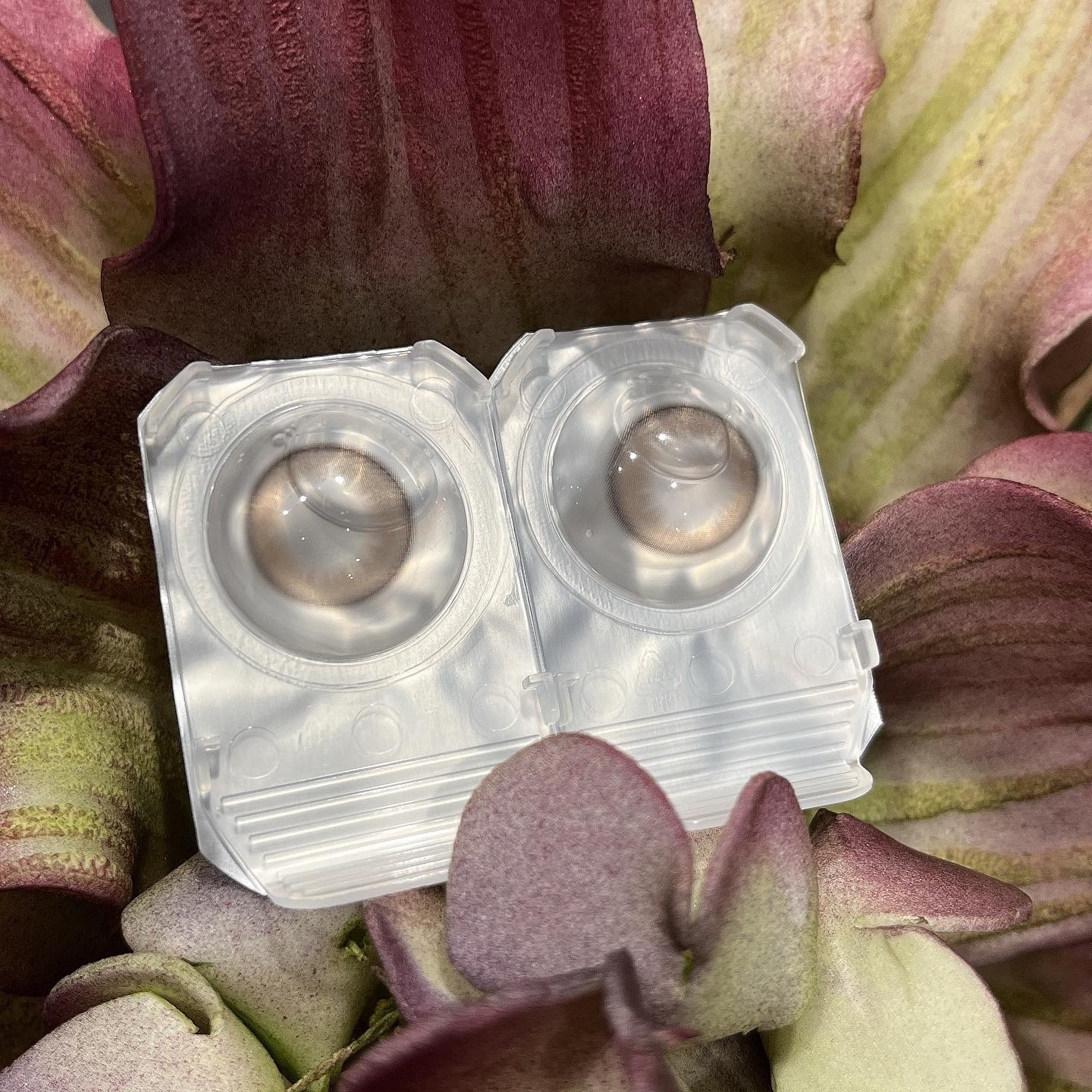 Majette 1day/Majette/ワンデー（１DAY）カラコンを使ったクチコミ（3枚目）