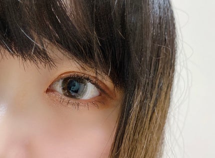 Love Bear 9色 アイシャドウパレット/FlowerKnows/アイシャドウパレットを使ったクチコミ(1枚目)