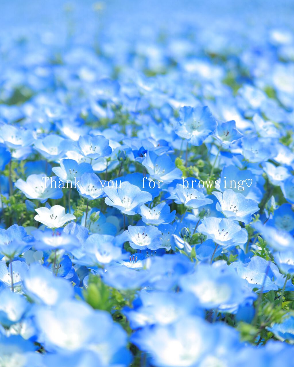 38°C / 99°F リップトリートメント (リップ美容液)/UZU BY FLOWFUSHI/リップケアを使ったクチコミ（3枚目）