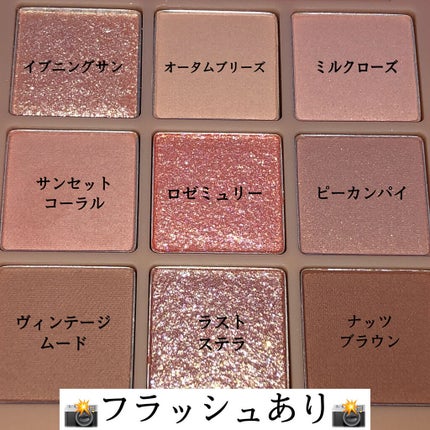 シャドウパレット/dasique/アイシャドウパレットを使ったクチコミ(3枚目)