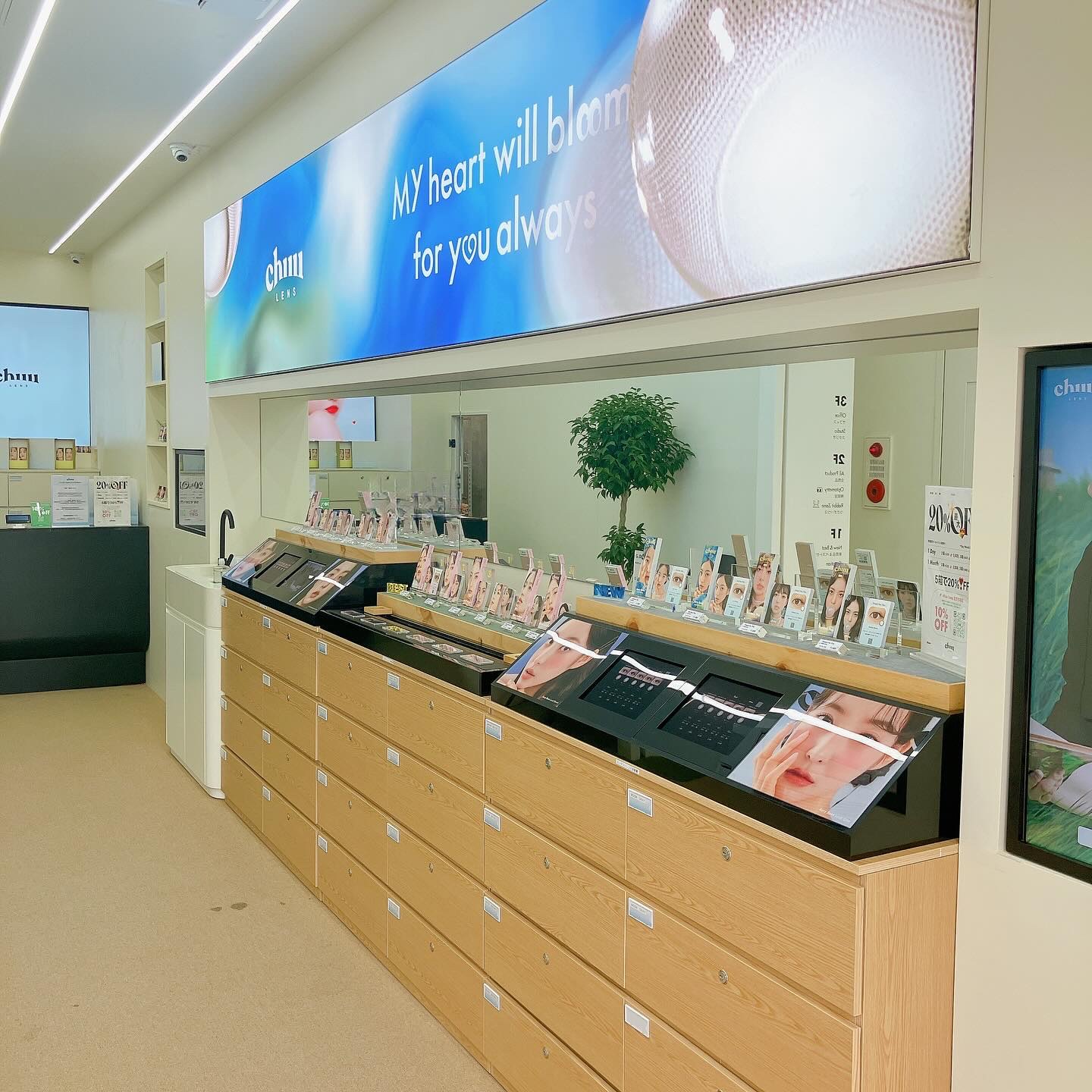 chuuLENS Milk&Tea 1day/chuu LENS/ワンデー（１DAY）カラコンを使ったクチコミ（2枚目）