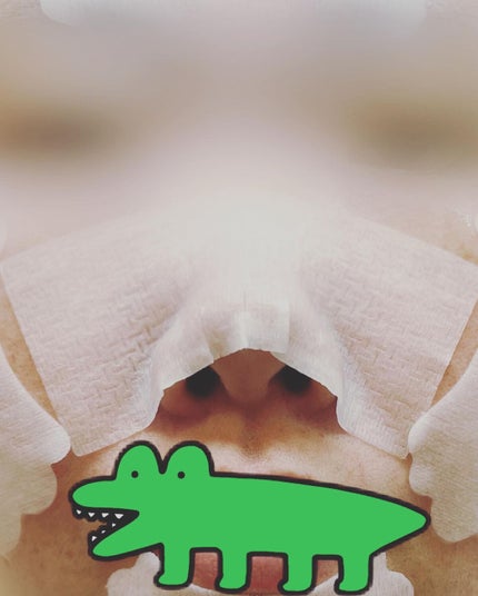 BHクリアノーズパック/CucuporeC/シートマスク・パックを使ったクチコミ(2枚目)