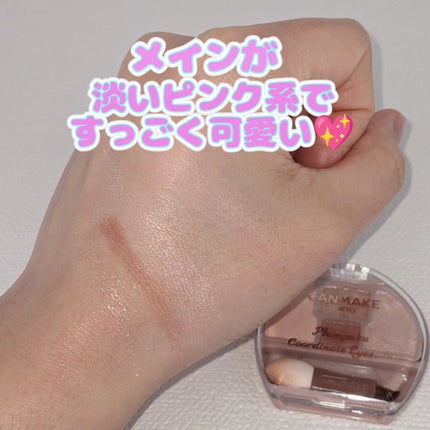 プランぷくコーデアイズ/キャンメイク/パウダーアイシャドウを使ったクチコミ(2枚目)