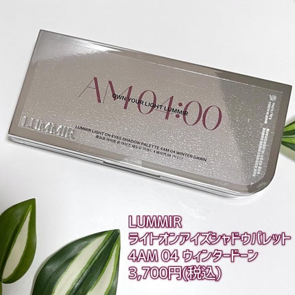 ライトオンアイズシャドウパレット/ルミル/アイシャドウパレットを使ったクチコミ(4枚目)