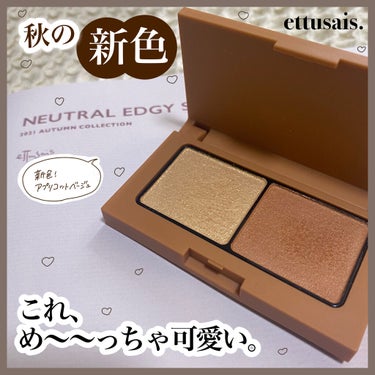 アイエディション(カラーパレット)/ettusais/アイシャドウパレットを使ったクチコミ（1枚目）