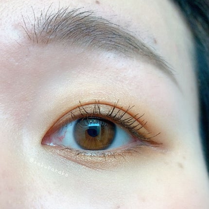 コンスピキュアス アイズ/Amplitude/アイシャドウパレットを使ったクチコミ(2枚目)