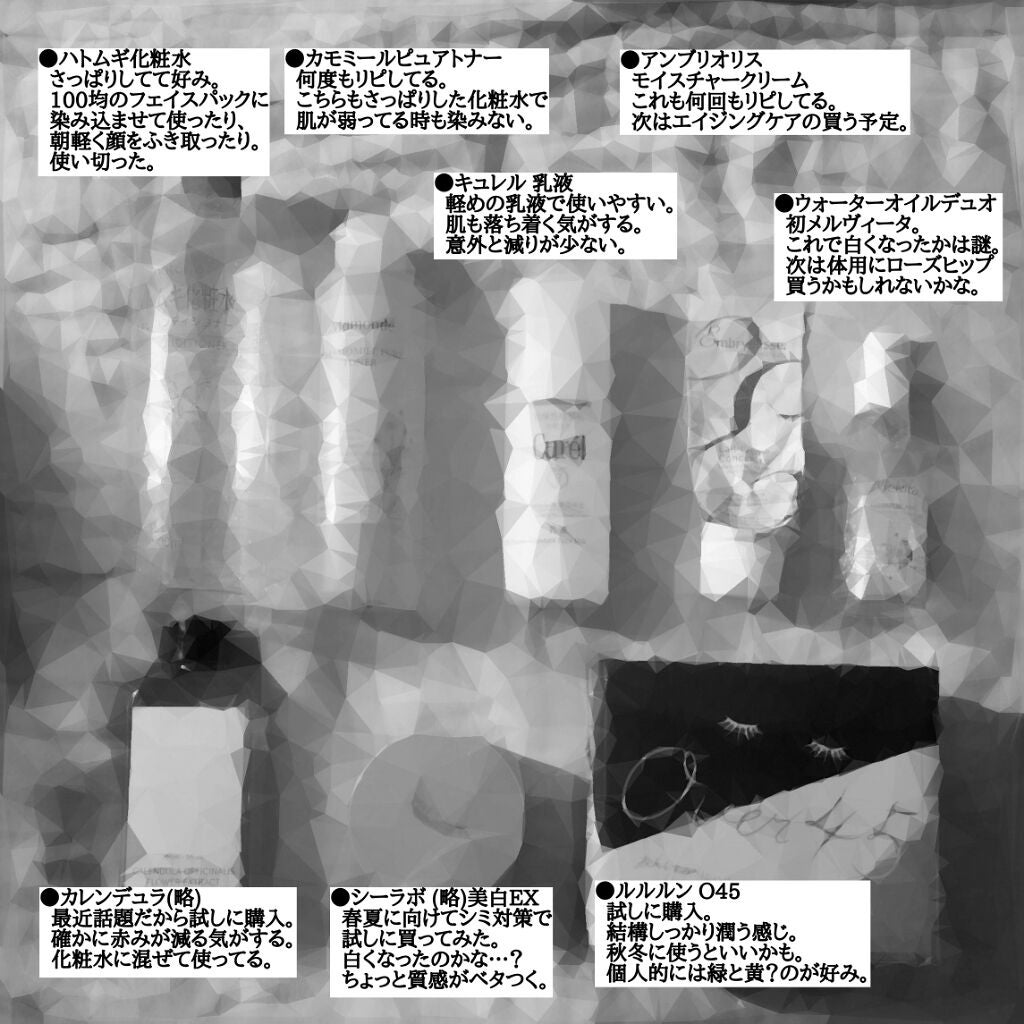 アンブリオリス モイスチャークリーム/アンブリオリス/フェイスクリームを使ったクチコミ(2枚目)