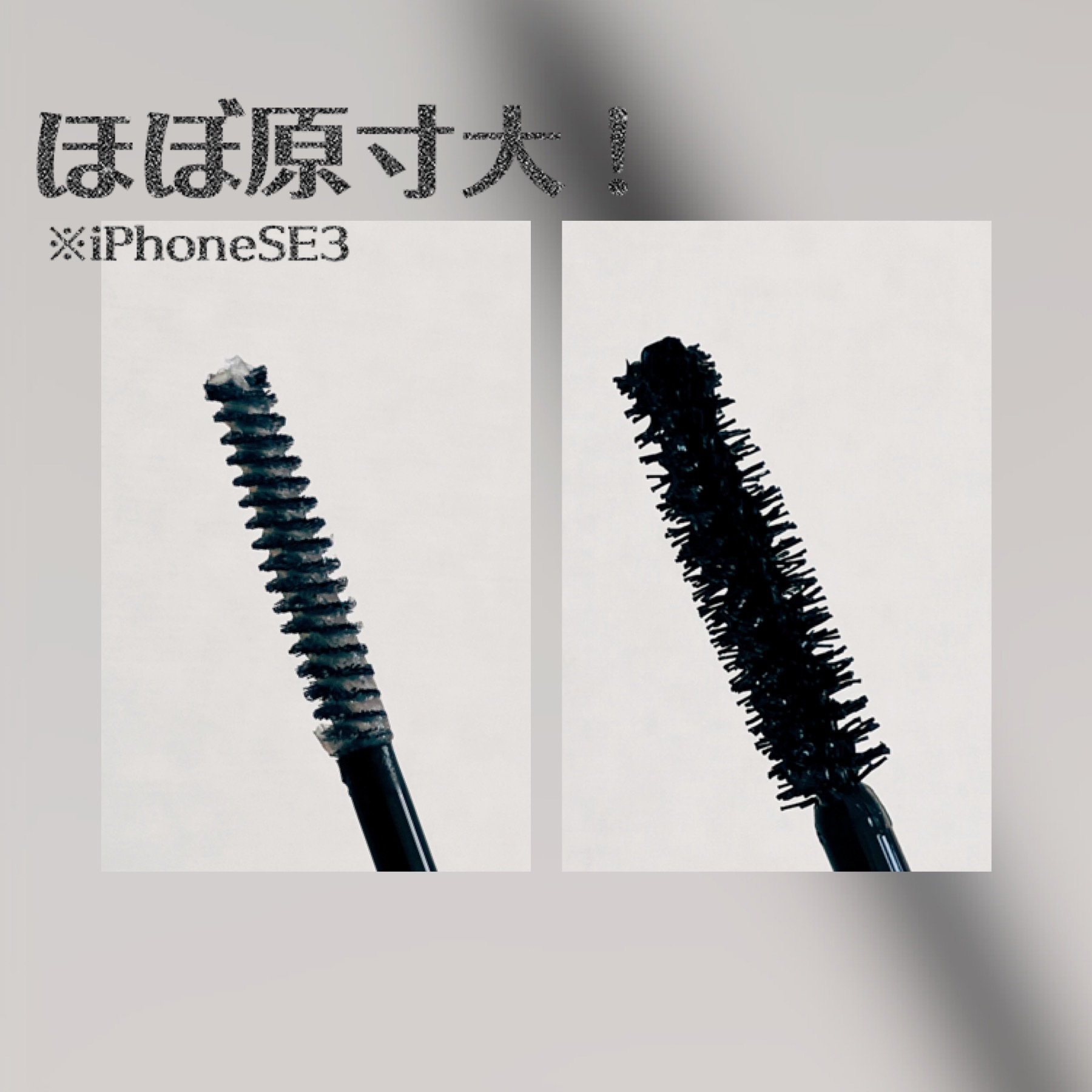 ウルトラ WP マスカラ(ナチュラル)/FASIO/マスカラを使ったクチコミ（2枚目）