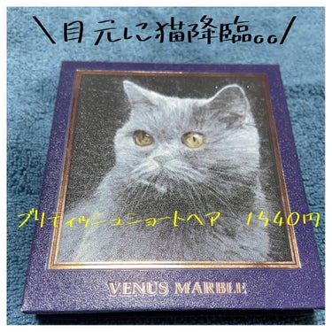 Venus Marble アイシャドウキャットシリーズ/Venus Marble/パウダーアイシャドウを使ったクチコミ（1枚目）