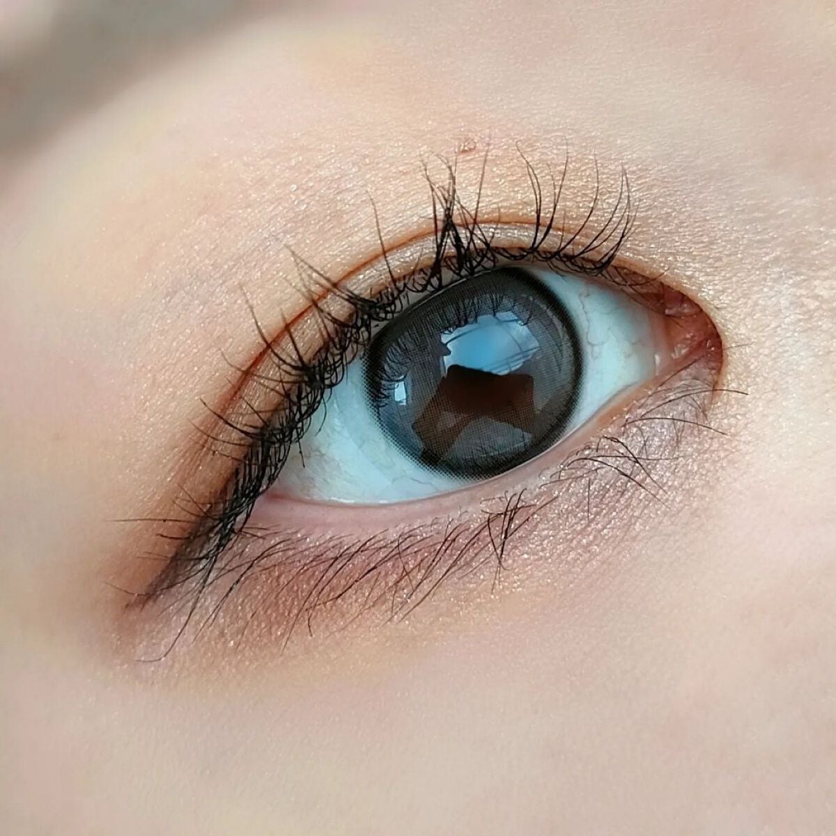 コネクト イン カラー アイシャドウ パレット × 6/M・A・C/アイシャドウパレットを使ったクチコミ(7枚目)