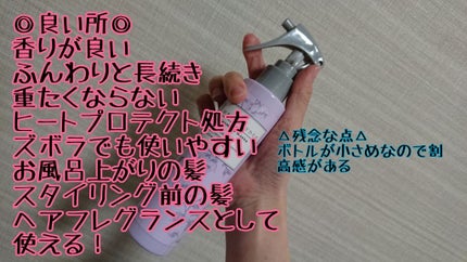 プレミアムスリーク ハイドロリニュー ミスト リッチモイスト(しっとりタイプ)/スティーブンノル ニューヨーク/ヘアミストを使ったクチコミ(2枚目)