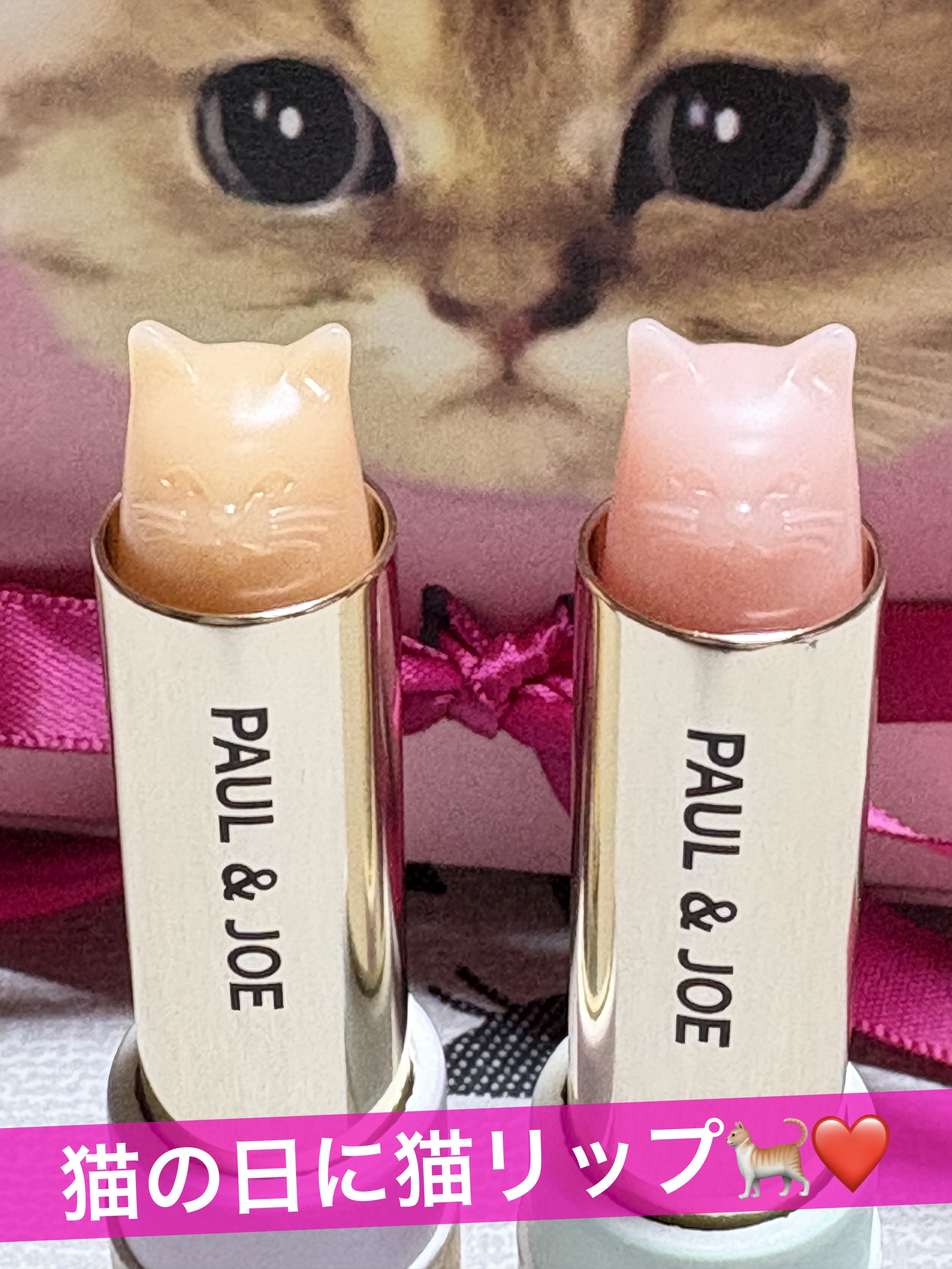 ティント リップスティック/PAUL & JOE BEAUTE/リップティントを使ったクチコミ（1枚目）