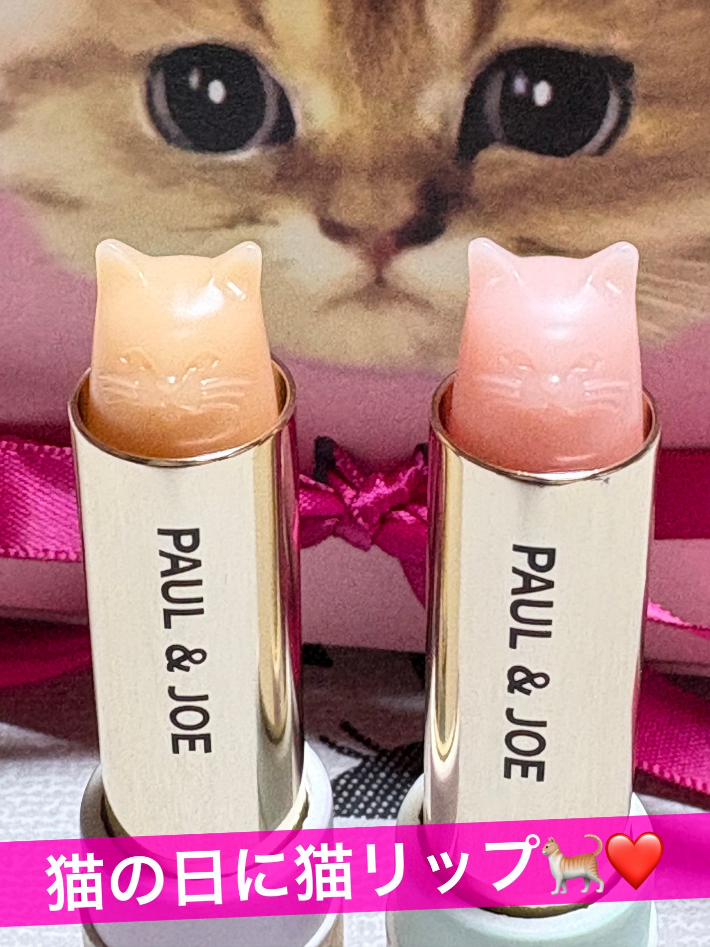 リップスティック トリートメント/PAUL & JOE BEAUTE/リップケアを使ったクチコミ(1枚目)