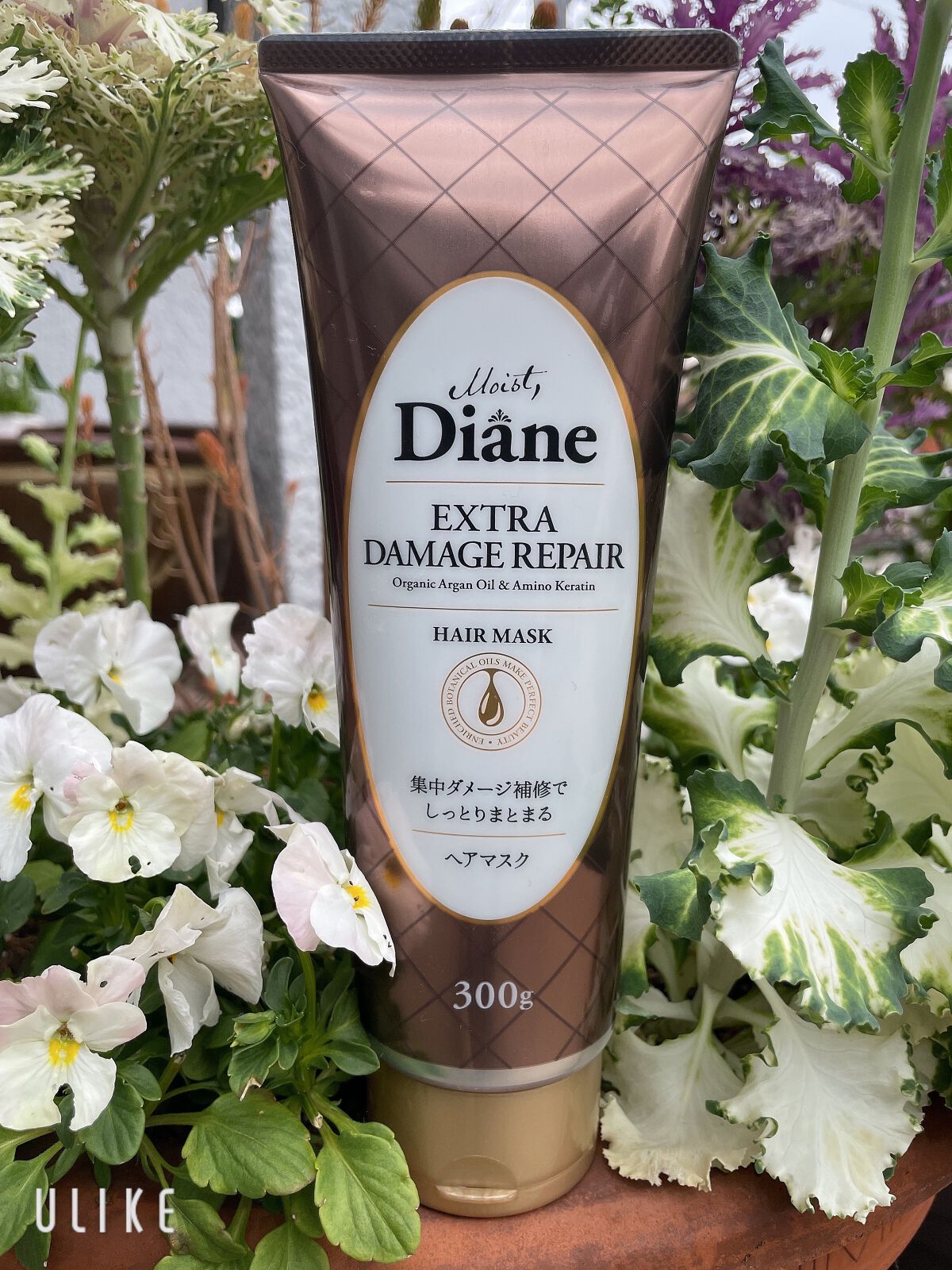 モイストダイアン パーフェクトビューティ エクストラダメージリペア ヘアマスク/ダイアン/ヘアマスク・ヘアパックを使ったクチコミ(1枚目)