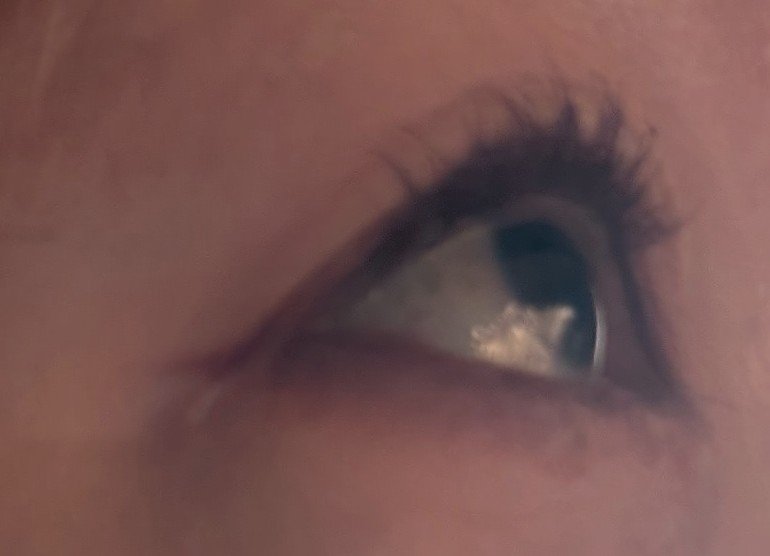 クイックラッシュカーラー/キャンメイク/マスカラ下地を使ったクチコミ（3枚目）