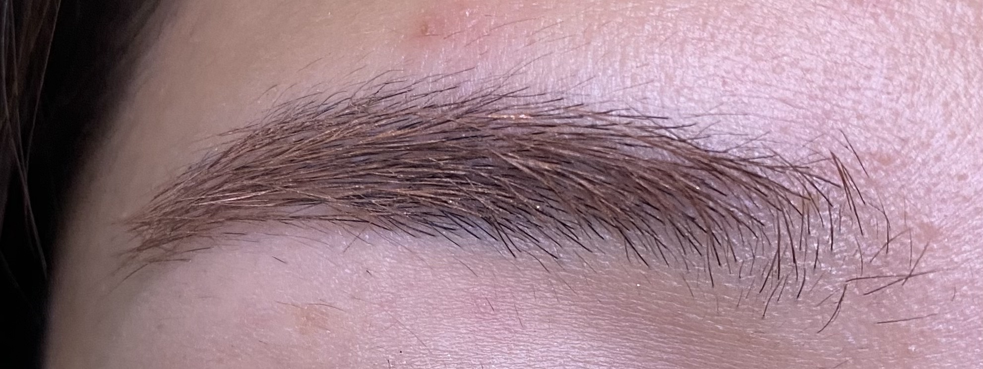 3DアイブロウカラーN/KATE/眉マスカラを使ったクチコミ（2枚目）