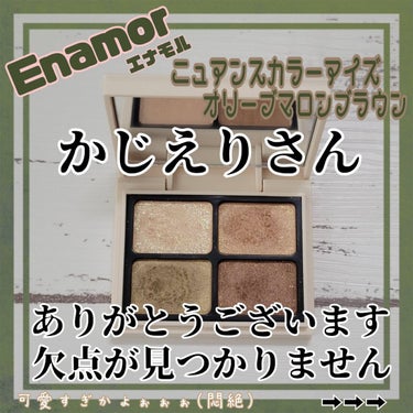 ニュアンスカラーアイズ/Enamor/パウダーアイシャドウを使ったクチコミ（1枚目）