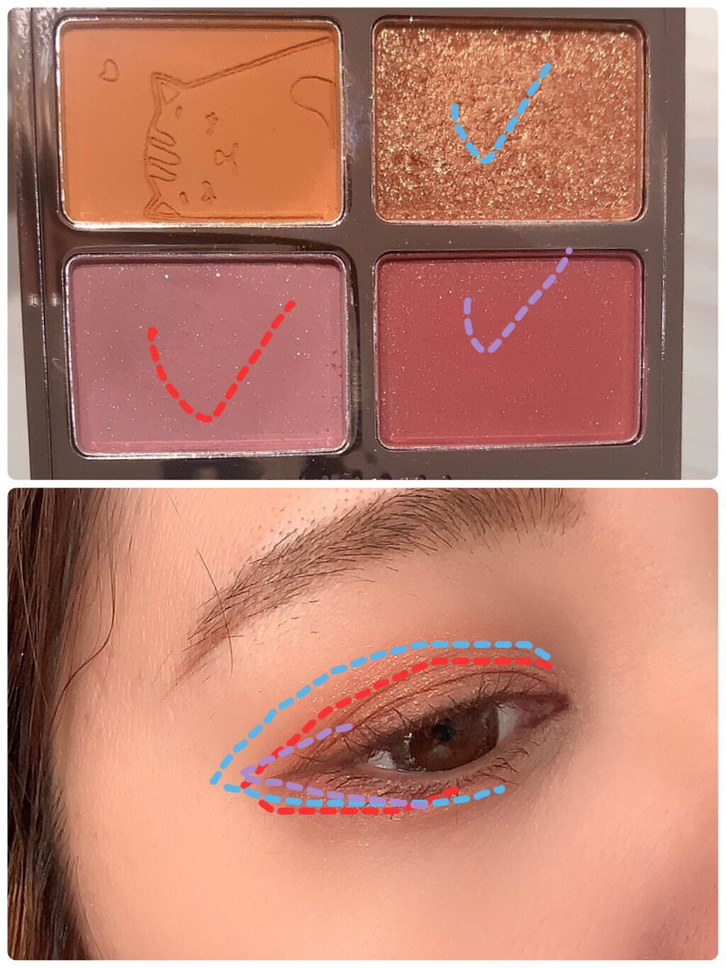 アニマルアイシャドウ(4シェード)/ZEESEA/アイシャドウパレットを使ったクチコミ(7枚目)