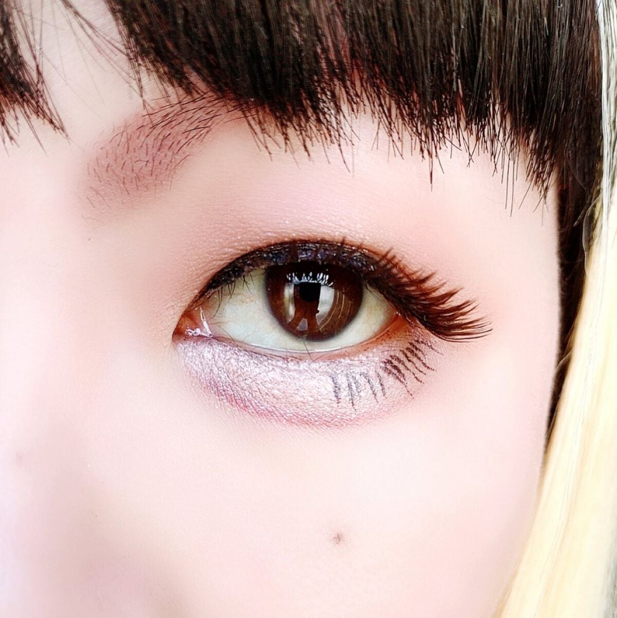 シルキースフレアイズ(マットタイプ)/キャンメイク/アイシャドウパレットを使ったクチコミ(6枚目)