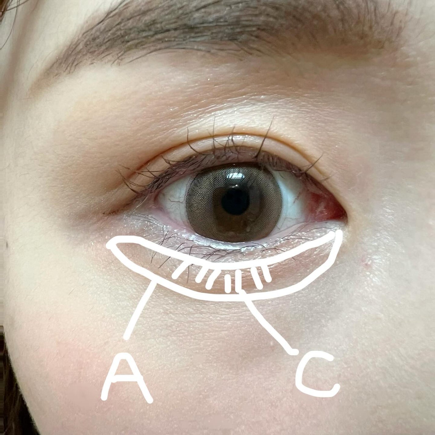 ピュア クラリティ シアー アイシャドウ/est/アイシャドウパレットを使ったクチコミ(8枚目)