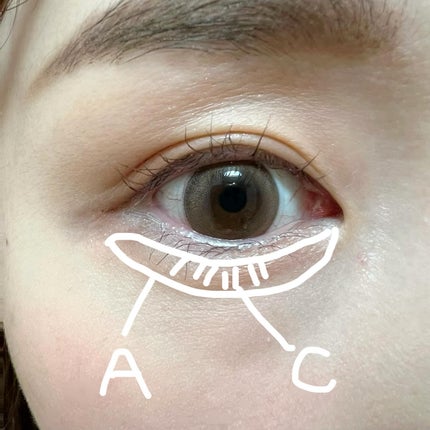 ピュア クラリティ シアー アイシャドウ/est/アイシャドウパレットを使ったクチコミ(8枚目)