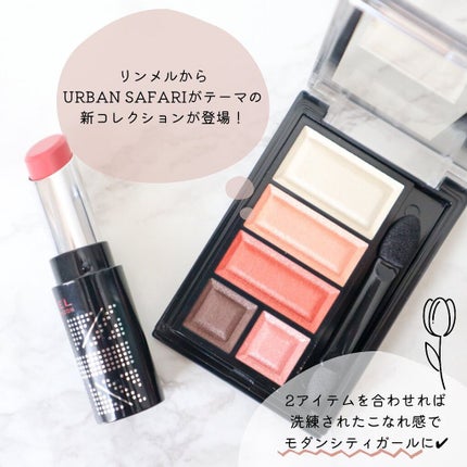 ショコラスウィート アイズ/リンメル ロンドン/アイシャドウパレットを使ったクチコミ(2枚目)