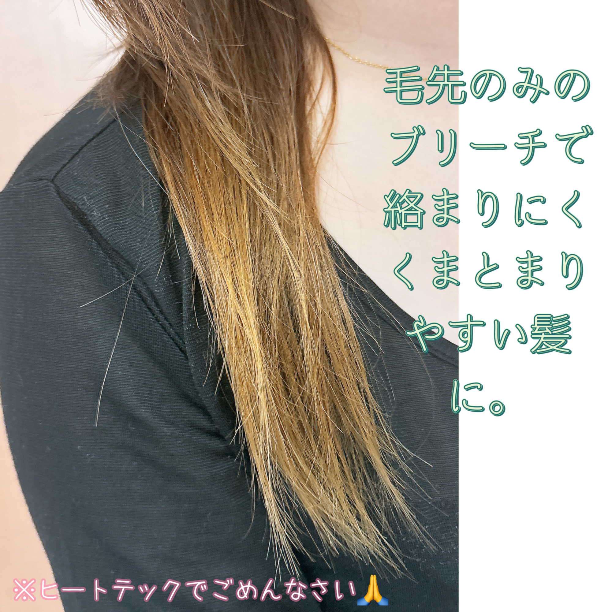 ファイバープレックス ボンド シャンプー/ボンド トリートメント/シュワルツコフ プロフェッショナル/サロンシャンプーを使ったクチコミ（3枚目）