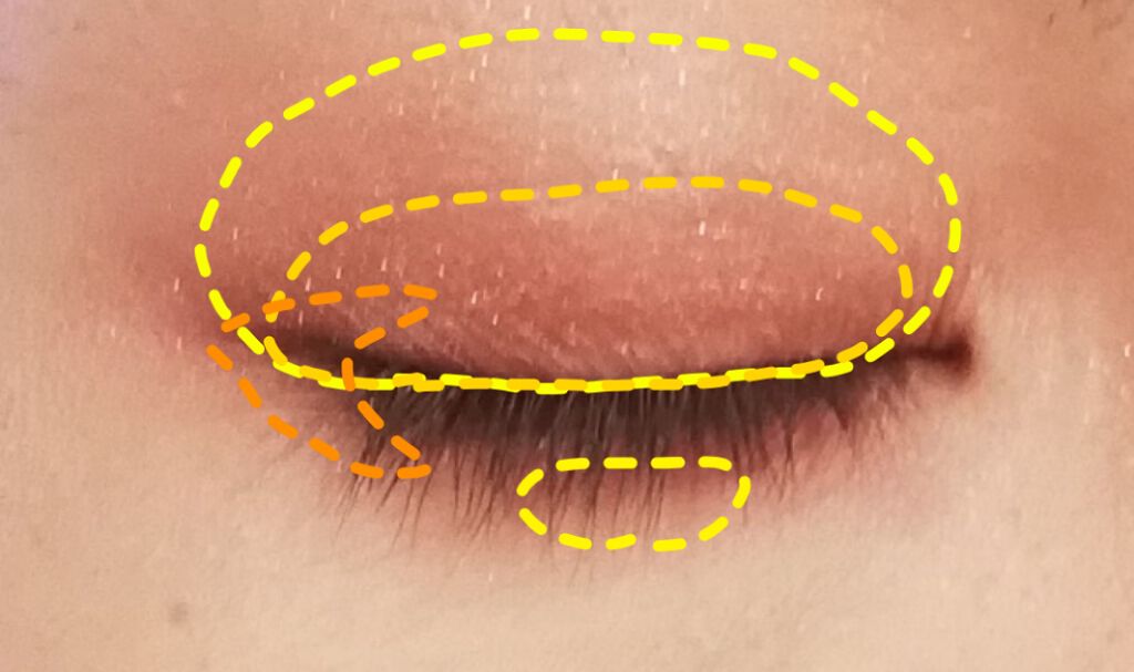 【旧品】パーフェクトスタイリストアイズ/キャンメイク/アイシャドウパレットを使ったクチコミ（2枚目）