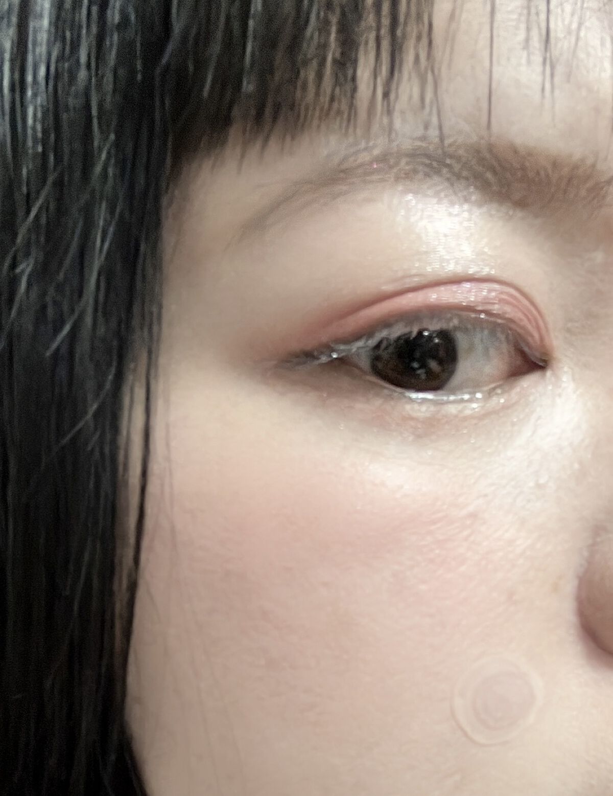 アニマルアイシャドウ(4シェード)/ZEESEA/アイシャドウパレットを使ったクチコミ（1枚目）