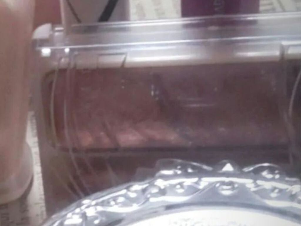 トーンアップアイシャドウ/CEZANNE/アイシャドウパレットを使ったクチコミ(1枚目)