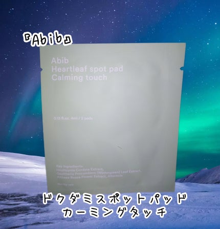 ドクダミカーミングタッチスポットパッド/Abib /トナーパッドを使ったクチコミ(1枚目)