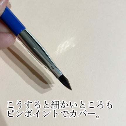 コンシールブレンダーパレット/LUNA/パレットコンシーラーを使ったクチコミ(5枚目)