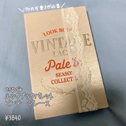 2021 F/Wルックブックパレット/espoir/アイシャドウパレットを使ったクチコミ(1枚目)