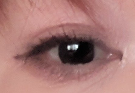 カールキープマジック/コーセーコスメニエンス/マスカラを使ったクチコミ（2枚目）