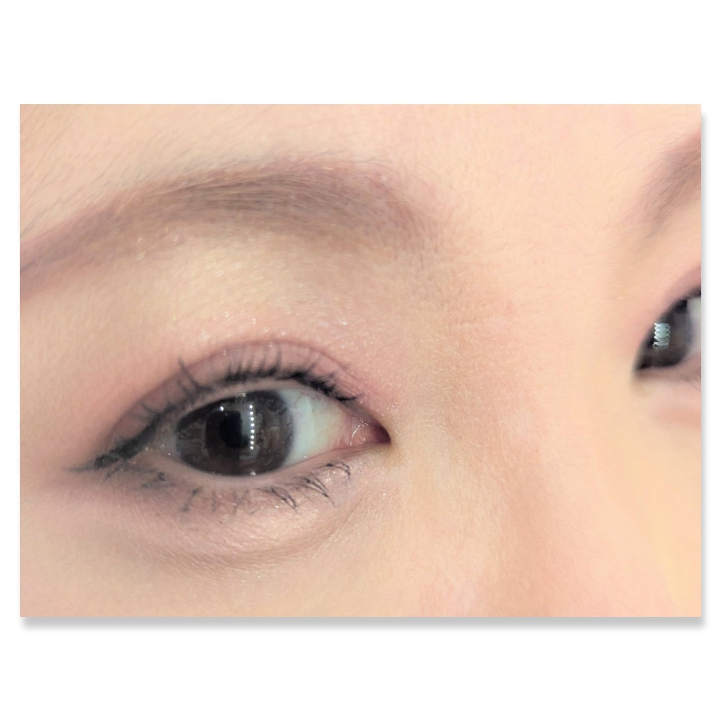 ル・ヌフ・ジバンシイ/GIVENCHY/アイシャドウパレットを使ったクチコミ(2枚目)