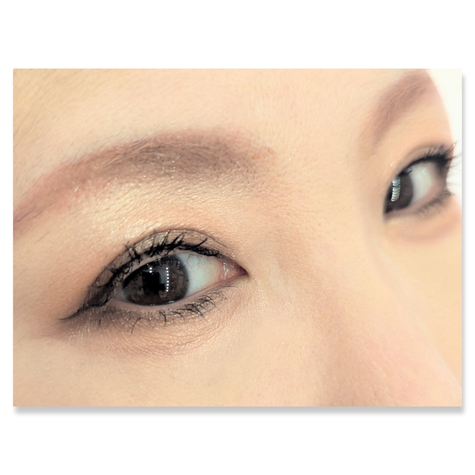 ショコラスウィート アイズ/リンメル ロンドン/アイシャドウパレットを使ったクチコミ（2枚目）