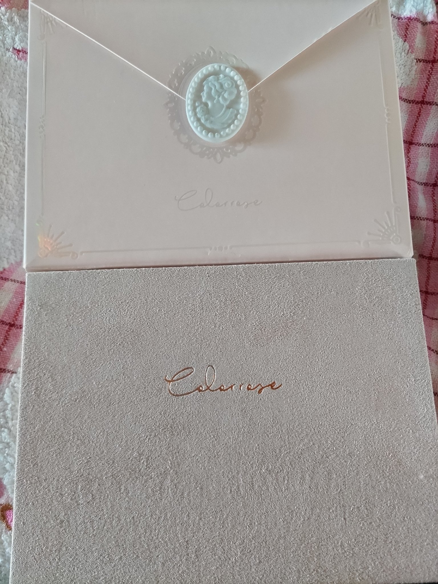 女王のカメオマルチパレット  02 マーガレット/COLORROSE/マルチパレットを使ったクチコミ（2枚目）