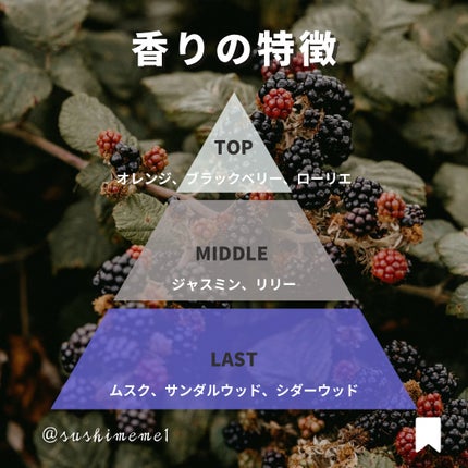 ミルラ & トンカ コロン インテンス/Jo MALONE LONDON/香水(レディース)を使ったクチコミ(6枚目)