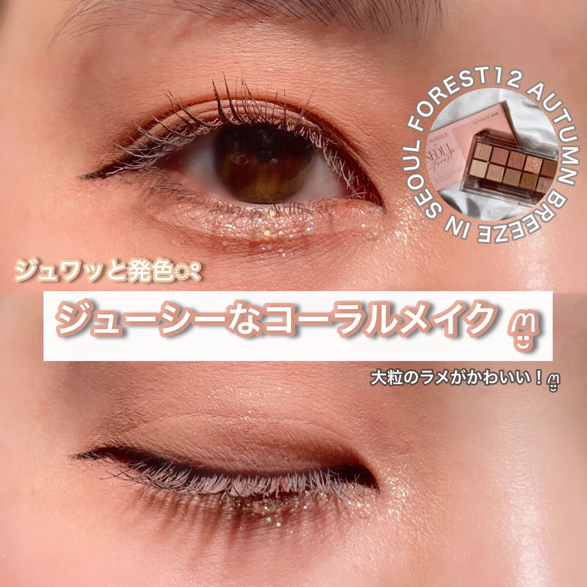 プロ アイ パレット/CLIO/アイシャドウパレットを使ったクチコミ（1枚目）