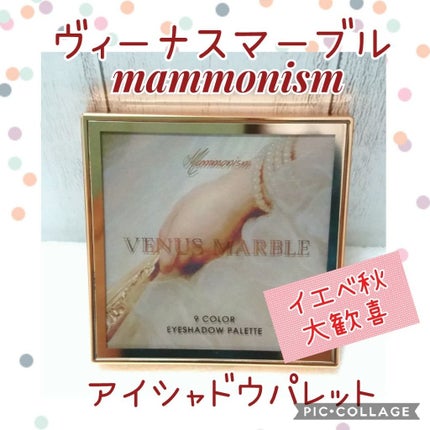VenusMarble 9色アイシャドウパレット Mammonism(マンモニズム)/Venus Marble/アイシャドウパレットを使ったクチコミ(1枚目)