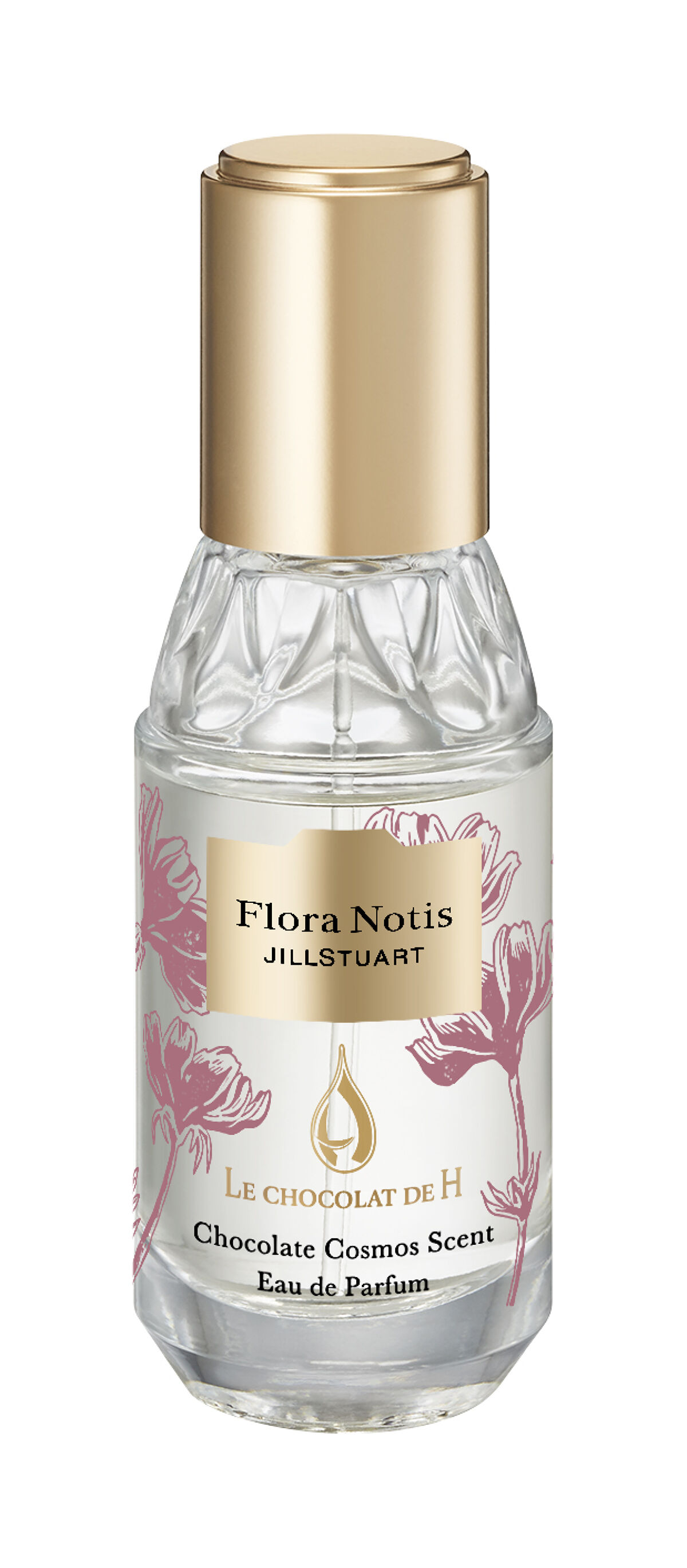 フローラノーティス ジルスチュアート チョコレートコスモス