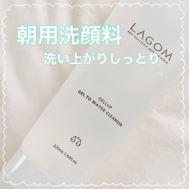 ラゴム ジェルトゥウォーター クレンザー(朝用洗顔)/LAGOM /洗顔フォームを使ったクチコミ（1枚目）