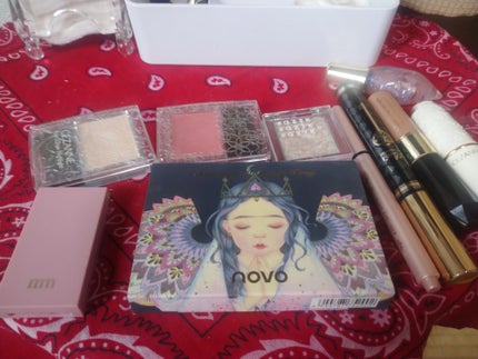 ラスティング リップカラーN/CEZANNE/口紅を使ったクチコミ(2枚目)