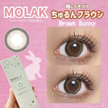 MOLAK 1month ブラウンバニー/MOLAK/１ヶ月（１MONTH）カラコンを使ったクチコミ（1枚目）