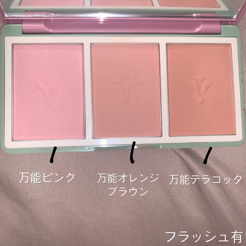ヴィンテージ フィルター チーク パレット Vintage Filter Edition/innisfree/パウダーチークを使ったクチコミ(2枚目)