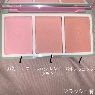 ヴィンテージ フィルター チーク パレット Vintage Filter Edition/innisfree/パウダーチークを使ったクチコミ（2枚目）