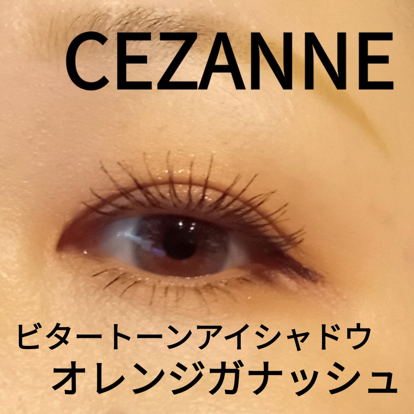 ビタートーンアイシャドウ/CEZANNE/パウダーアイシャドウを使ったクチコミ(1枚目)